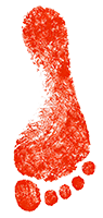 3.Pie izquierdo ok.png