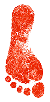 4.Pie derecho ok.png